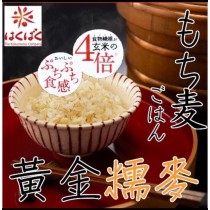 【小天使0】日本進口 Hakubaku 黃金糯麥600g  -1組2包